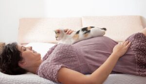 گربه و زن باردار